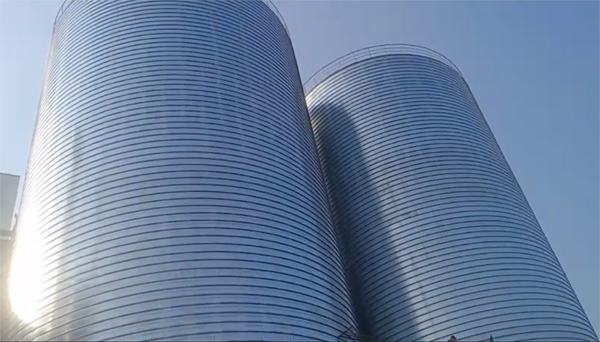 元门乡2座混凝土高架卷板仓